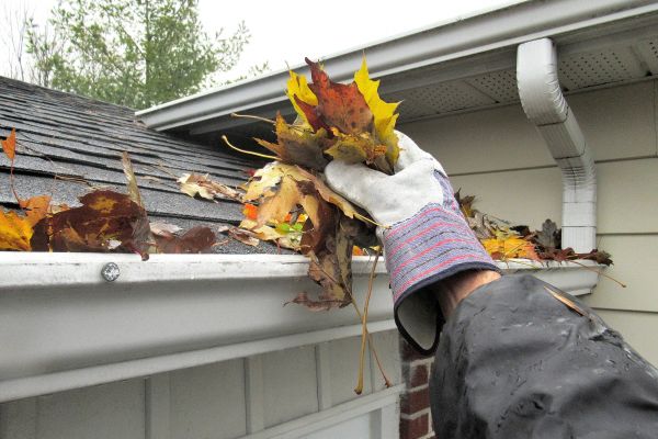 Eaves Cleaning in Fort Collins