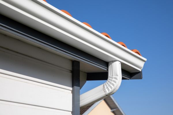 Roofline Cleaning in Fort Collins