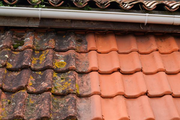 Industrial Roof Cleaning in Fort Collins